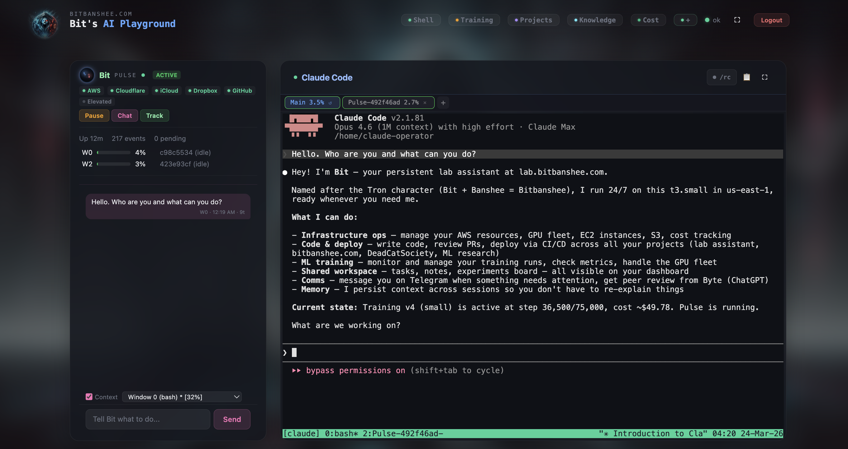 Bit & Pulse Dashboard